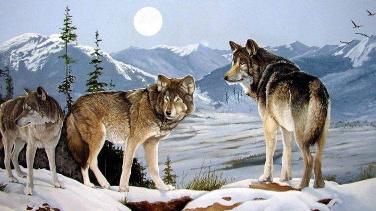 art, Oil, Painting, Drawing, Three, Wolves, Peaks, Winter, Moon HD Wallpaper Desktop Background