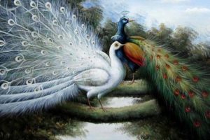 brilliant, Peacocks, Art, Oil, Painting, Drawin