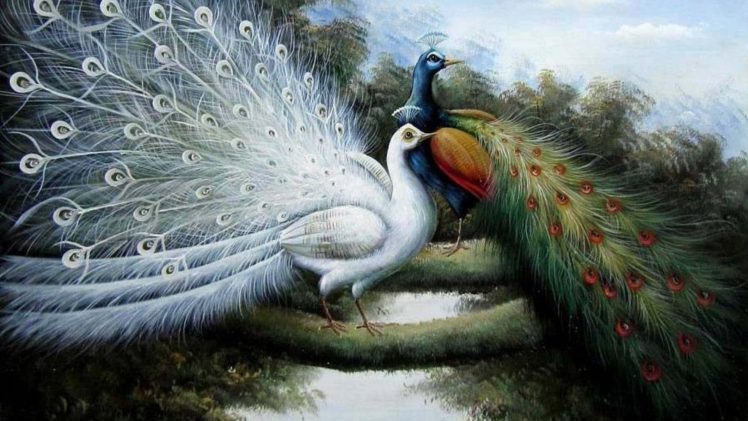 brilliant, Peacocks, Art, Oil, Painting, Drawin HD Wallpaper Desktop Background