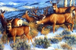 art, Oil, Painting, Drawing, Nice, Winter, Forest, Pretty, Deer