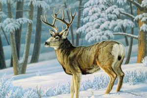 art, Oil, Painting, Drawing, Winter, Forest, Cute, Deer, Slope