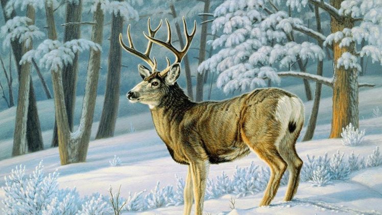 art, Oil, Painting, Drawing, Winter, Forest, Cute, Deer, Slope HD Wallpaper Desktop Background
