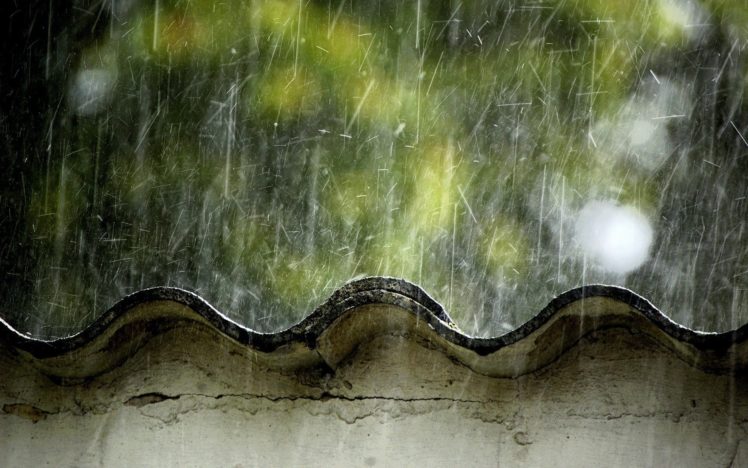 summer, Rain HD Wallpaper Desktop Background