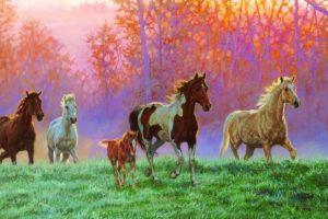 art, Oil, Painting, Drawing, Horses, Foal, Meadow, Morning, Sun