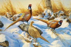art, Oil, Painting, Drawing, Snowy, Pheasants, Fence, Grass