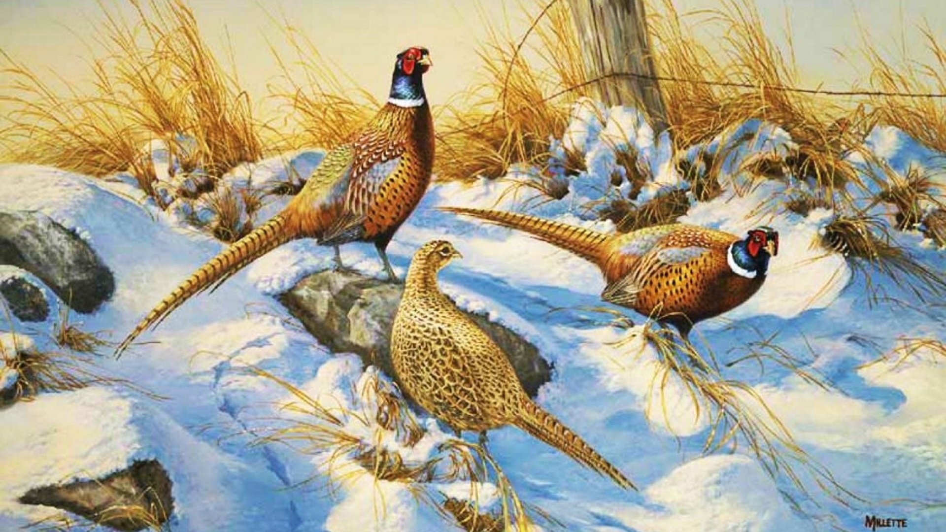 art, Oil, Painting, Drawing, Snowy, Pheasants, Fence, Grass Wallpaper