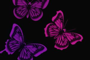 , Butterfly, Textur