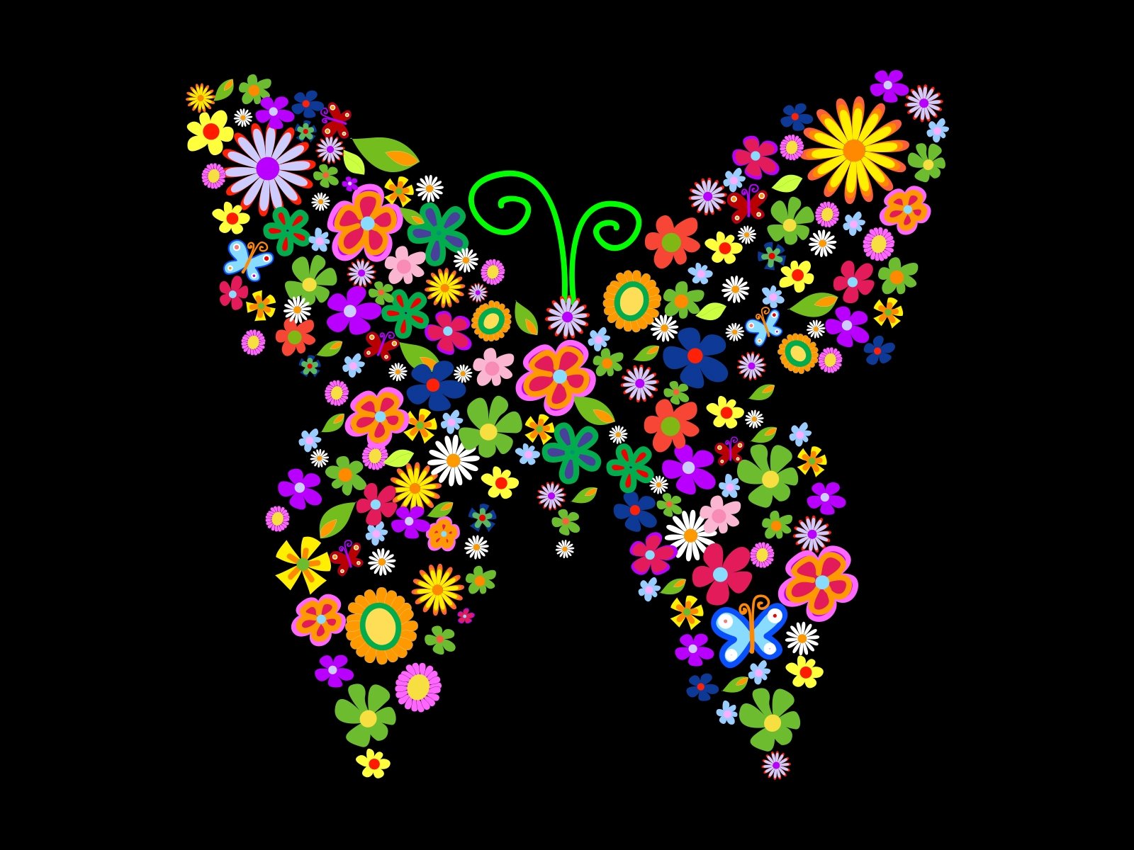 , Butterfly, Textur Wallpaper