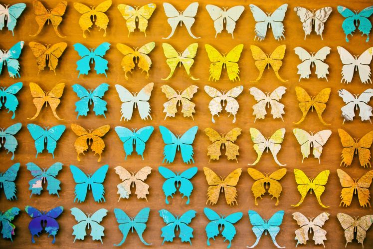 butterflies, Texture HD Wallpaper Desktop Background
