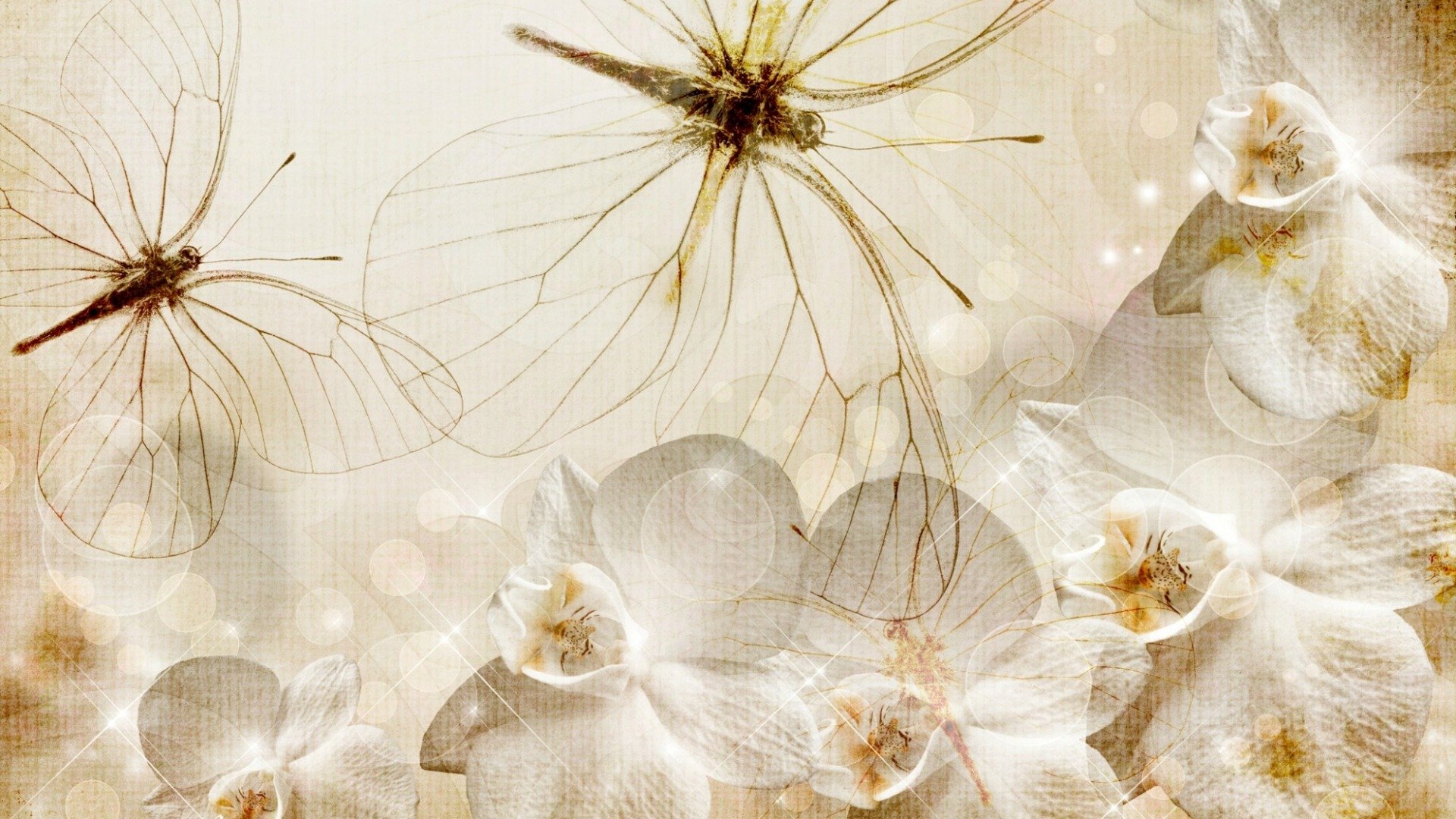 textures, Butterflies, And, Orchids Wallpaper