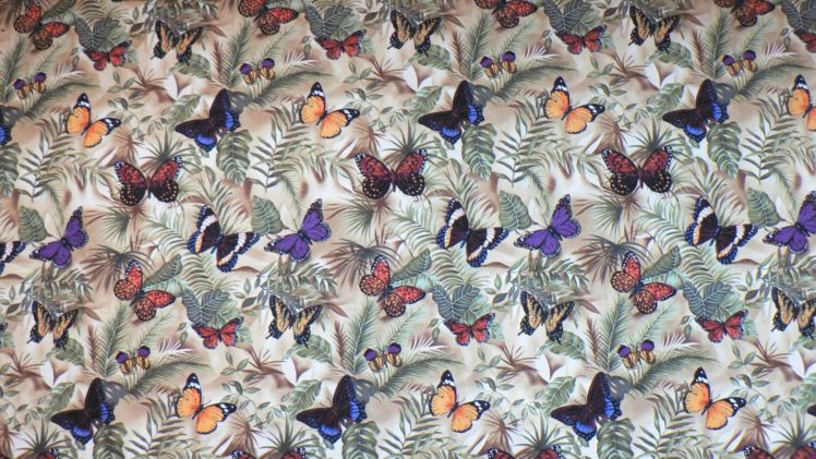 textures, Butterfly HD Wallpaper Desktop Background