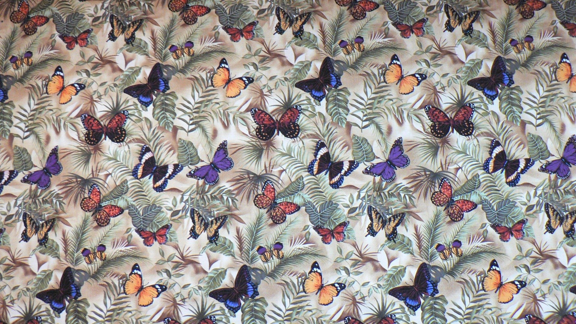 textures, Butterfly Wallpaper