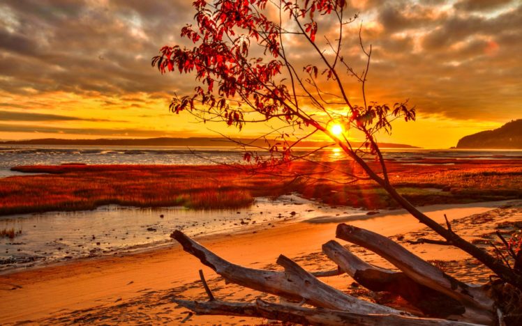 romantic, Sunset, Nature, Beach HD Wallpaper Desktop Background