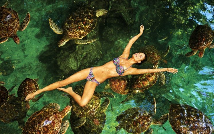 nina, Agdal, Swimming, With, Sea, Turtles HD Wallpaper Desktop Background