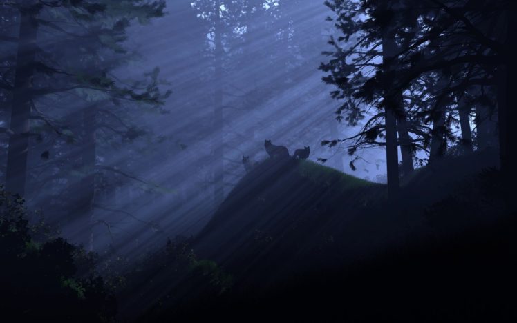 wolf, Night, Fog, Forest, Nature, Animal HD Wallpaper Desktop Background