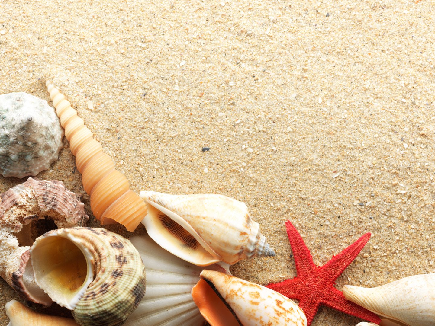 beach, Summer, Holiday Wallpaper