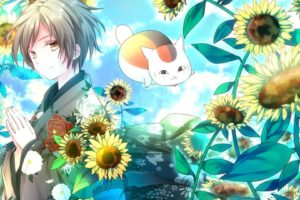 anime, Cat, Boy, Sunflower, Summer