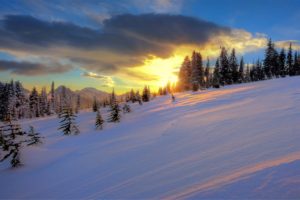 beautiful, Natural, Winter, Snow
