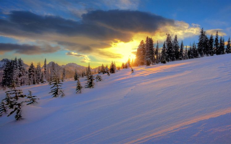 beautiful, Natural, Winter, Snow HD Wallpaper Desktop Background