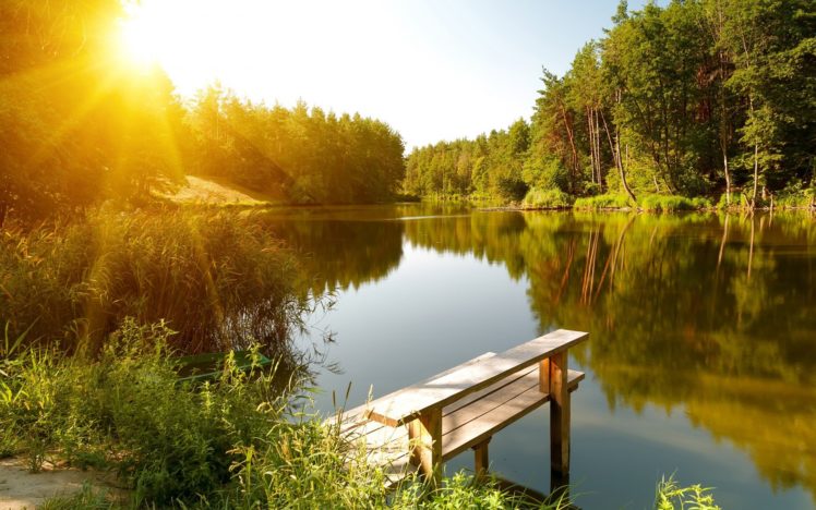 summer, River, Forest, Sun, Landscape HD Wallpaper Desktop Background