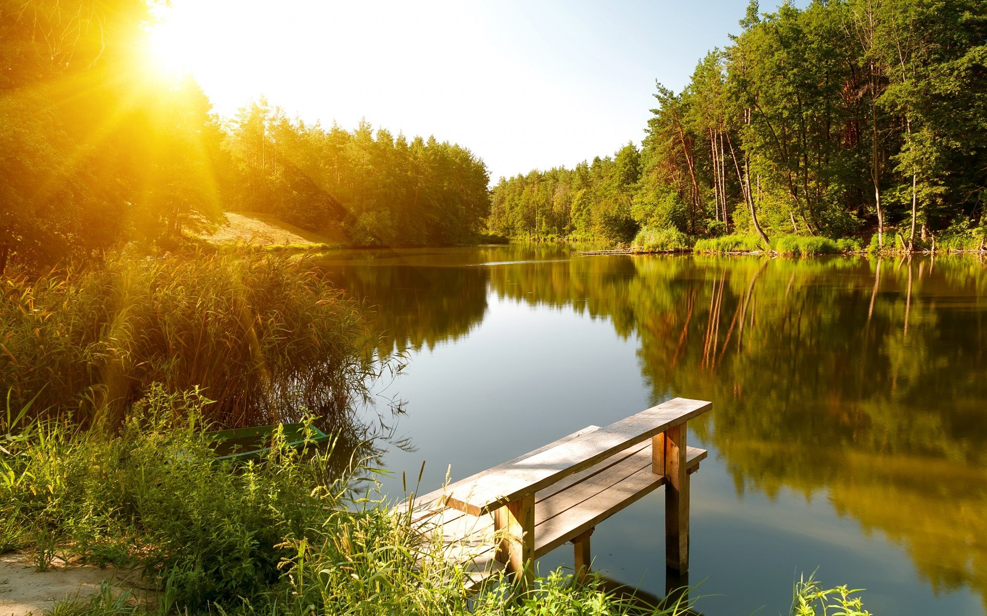 summer, River, Forest, Sun, Landscape Wallpaper