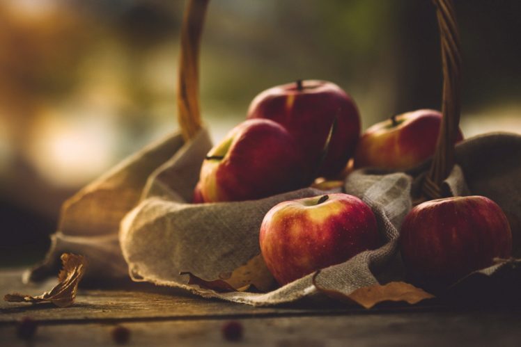 plants, Apples, Fruit, Food HD Wallpaper Desktop Background