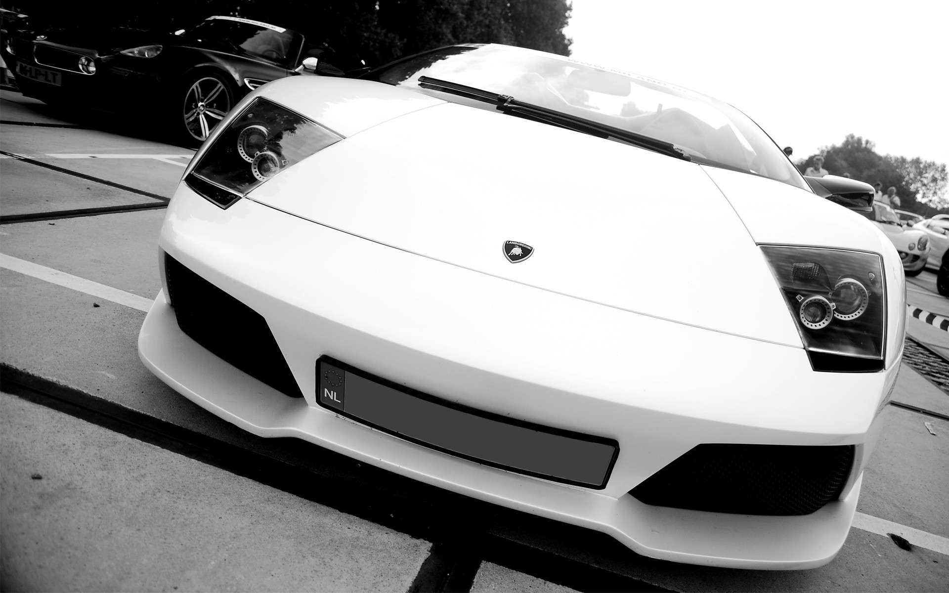 cars, Lamborghini, Monochrome, Lamborghini, Murcielago, Greyscale Wallpaper