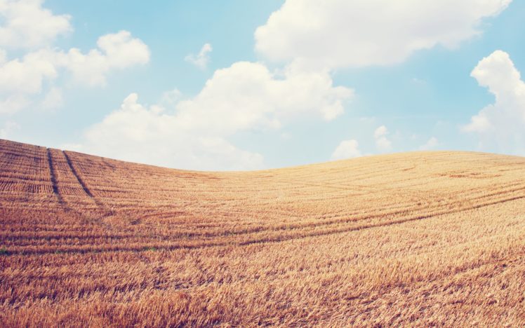 clouds, Landscapes, Nature, Fields, Wheat, Sky doll, Skyscapes HD Wallpaper Desktop Background