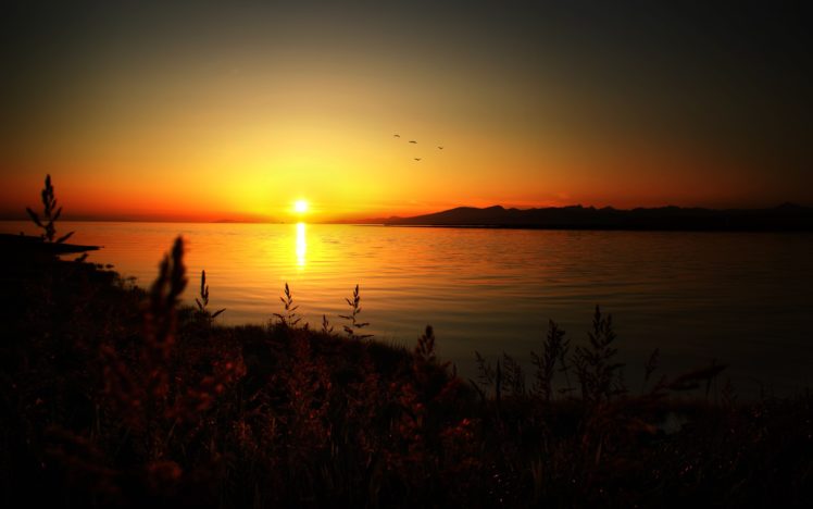 sunset, Landscapes, Nature, Summer HD Wallpaper Desktop Background