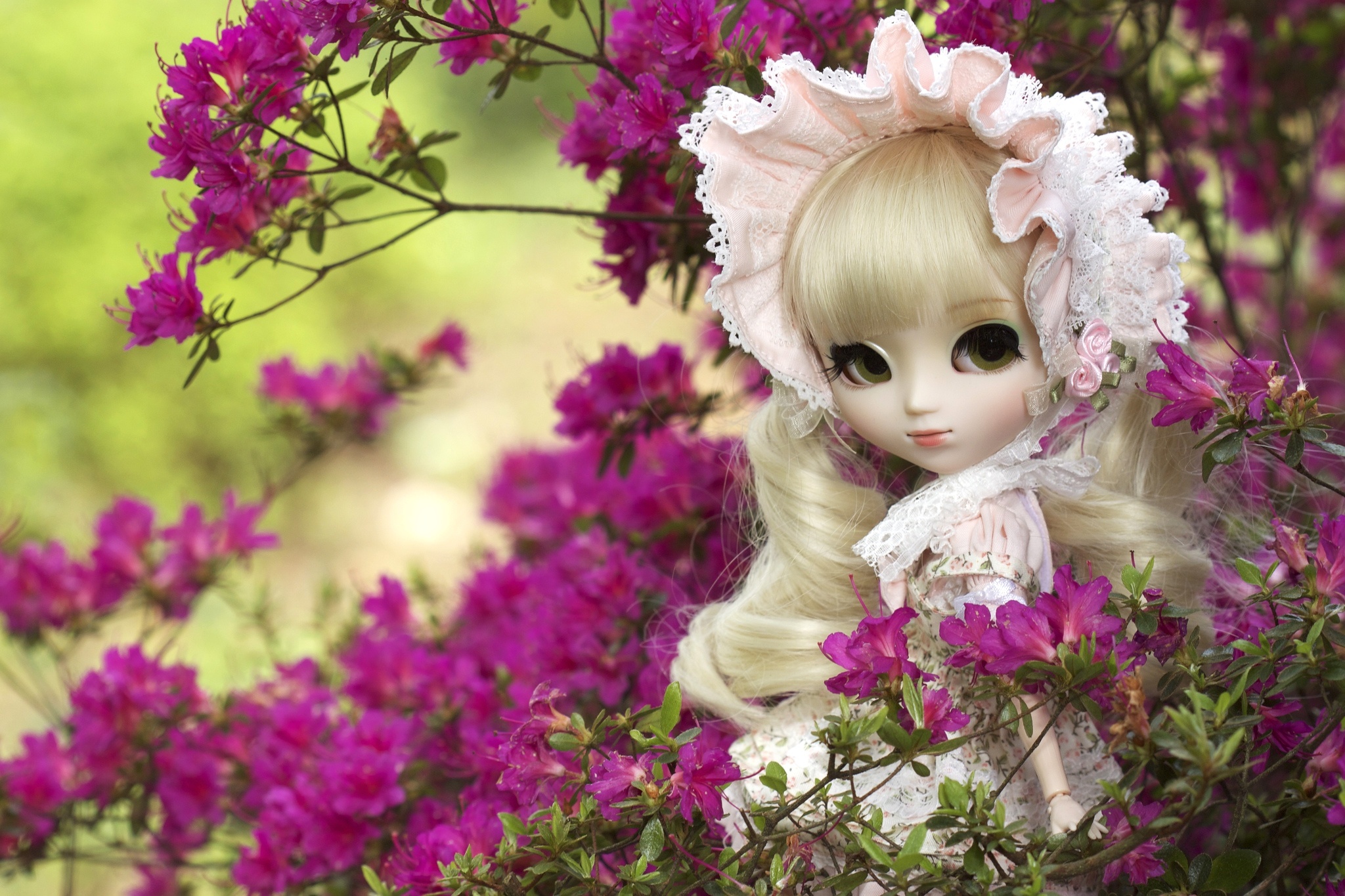 doll, Toy, Azaleas, Dolls, Toys, Bokeh, Mood, Flowers, Flower, Girl, Girls, Face, Eyes Wallpaper