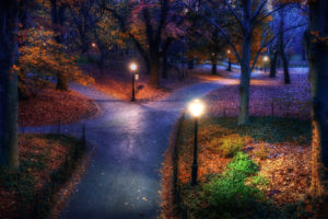 park, Night, Fall, Lights, Autumn, Garden, Park