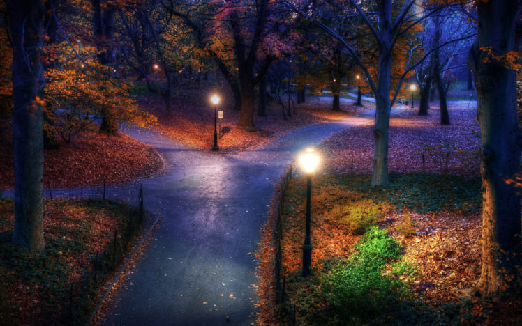 park, Night, Fall, Lights, Autumn, Garden, Park HD Wallpaper Desktop Background