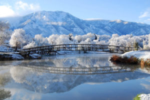 beautiful, Winter, Bridge