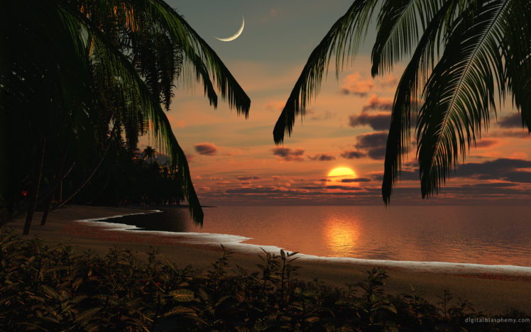 sun, Beach, Palm, Trees HD Wallpaper Desktop Background