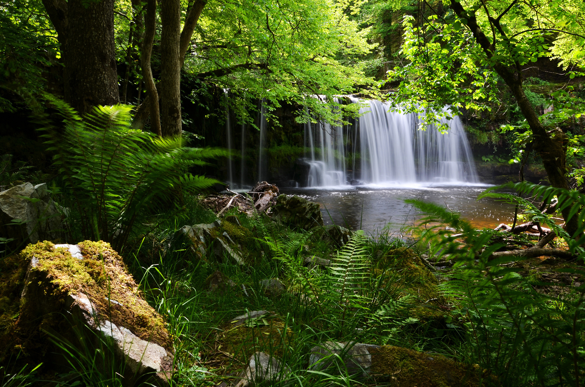brecon, Beacons, National, Park, England, Uk, Waterfall, Forest, Fern Wallpaper