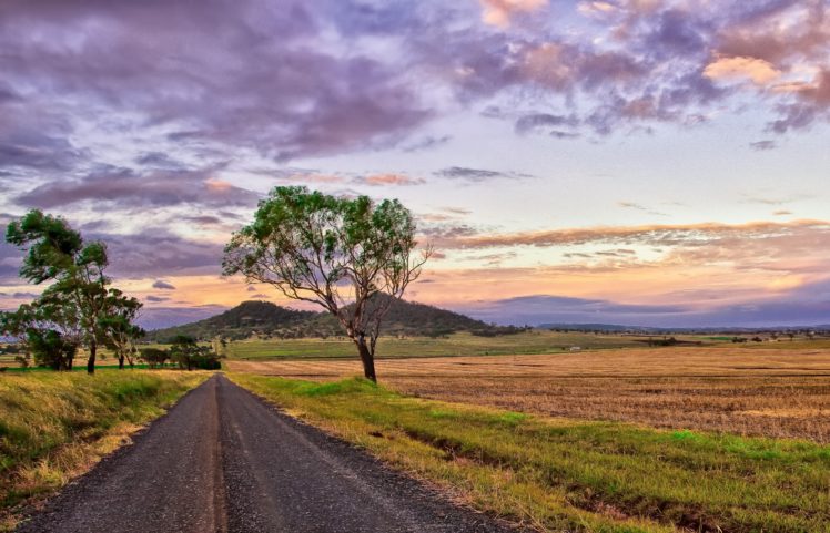 field, Sunset, Road, Nature HD Wallpaper Desktop Background