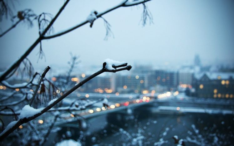 blue, Winter, Snow, Lights, Bridges, Blurred, Branches, Cities HD Wallpaper Desktop Background