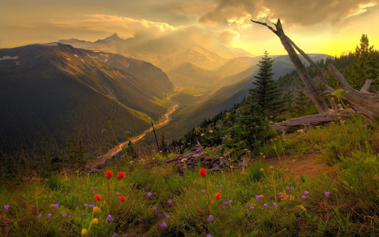 sunset, Clouds, Landscapes, Nature, Forest, Valley HD Wallpaper Desktop Background
