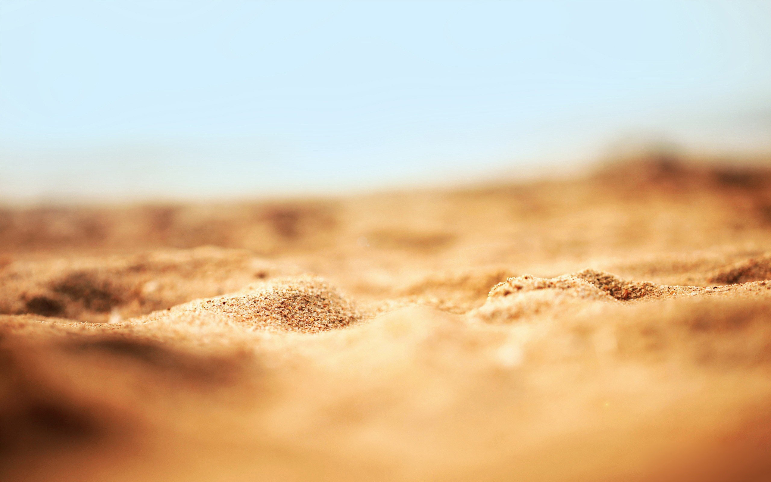 desert, Sand, Macro Wallpaper