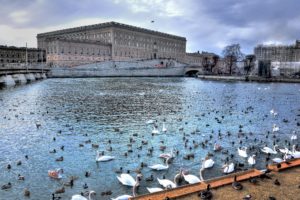 royal, Palace, Stockholm, Pond, Swans