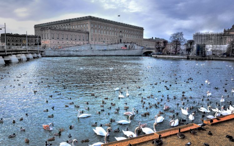 royal, Palace, Stockholm, Pond, Swans HD Wallpaper Desktop Background