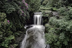 england, Waterfall, Forest, Bush