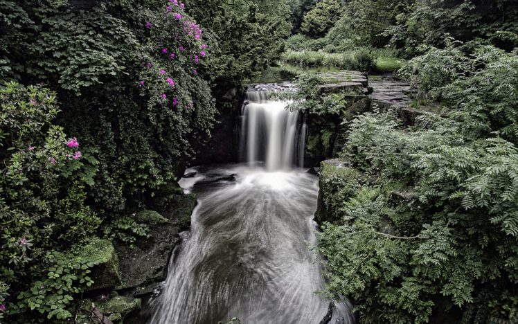 england, Waterfall, Forest, Bush HD Wallpaper Desktop Background