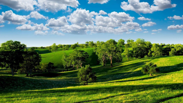 summer, Field, Meadow, Trees, Sky, Clouds HD Wallpaper Desktop Background
