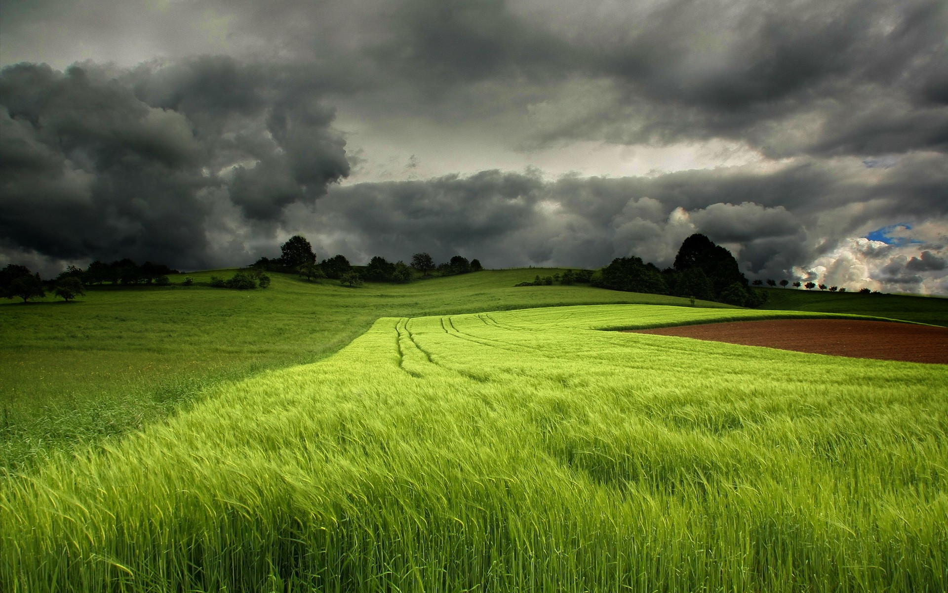 grass, Field, Clouds Wallpapers HD / Desktop and Mobile Backgrounds