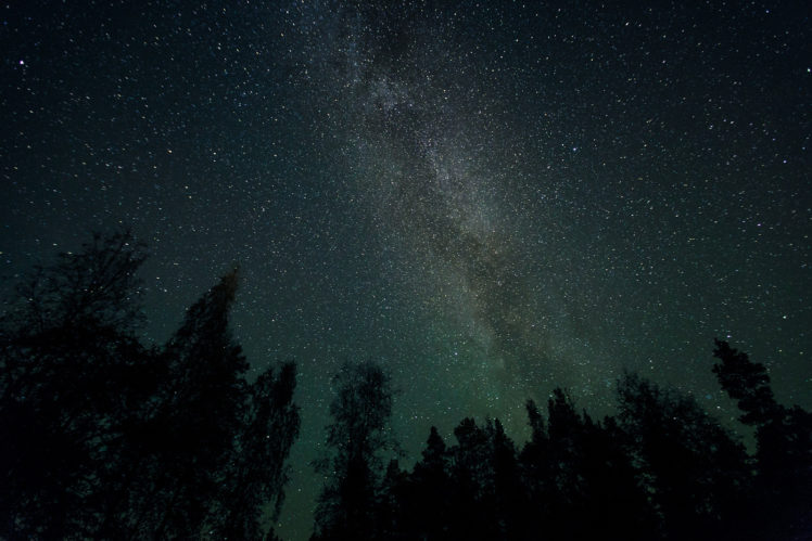 galaxy, Stars, Milky, Way, Night, Trees, Space HD Wallpaper Desktop Background