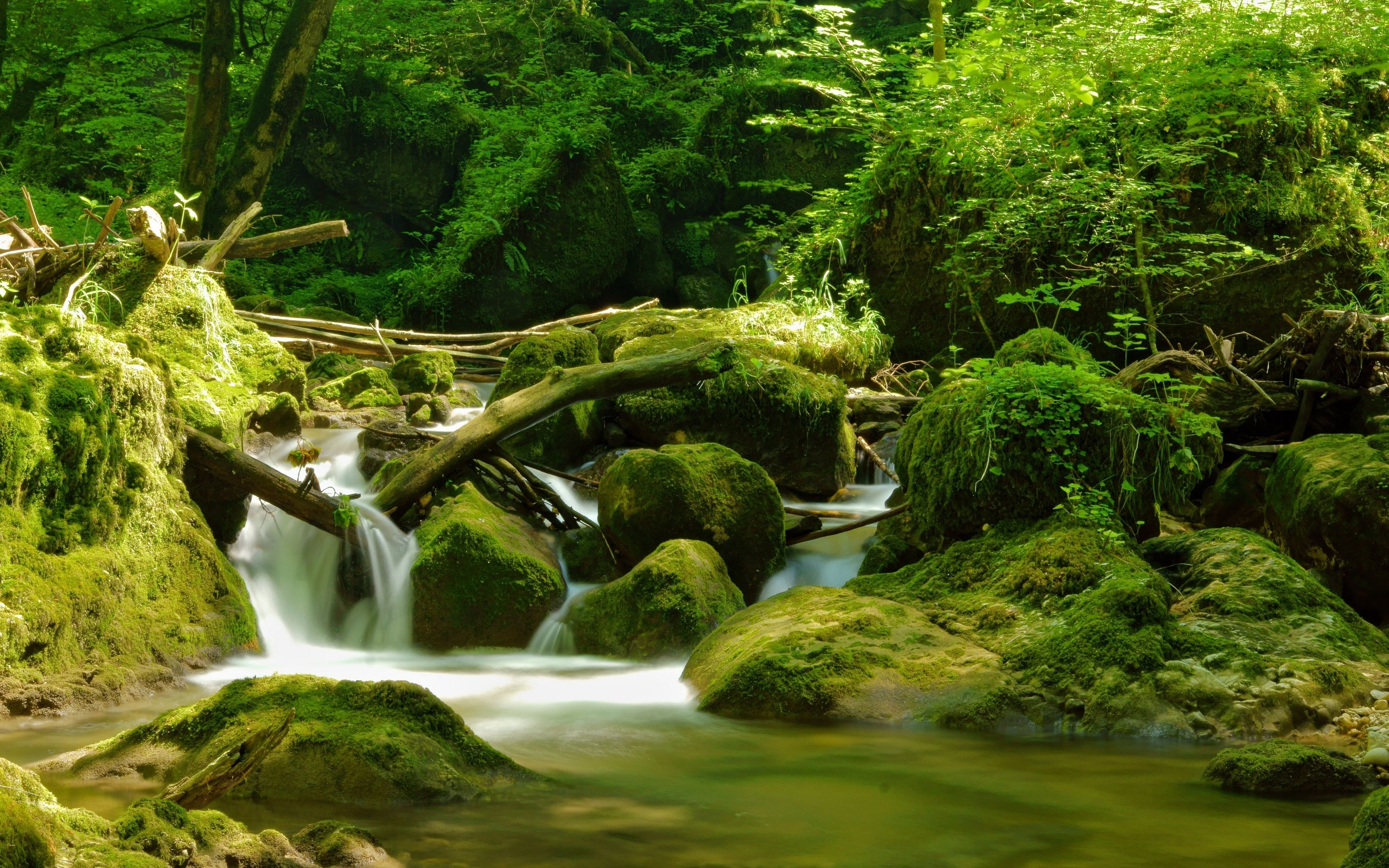 switzerland, River, Stones, Wood Wallpaper