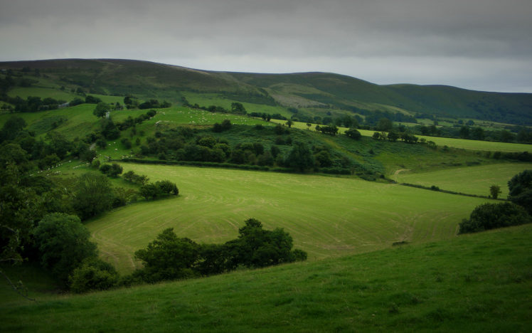 green, Landscapes, Nature, Fields, Hills HD Wallpaper Desktop Background