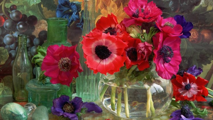 flowers, Anemones, Flower HD Wallpaper Desktop Background