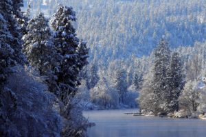 river, Winter, Trees, Forest, Landscape